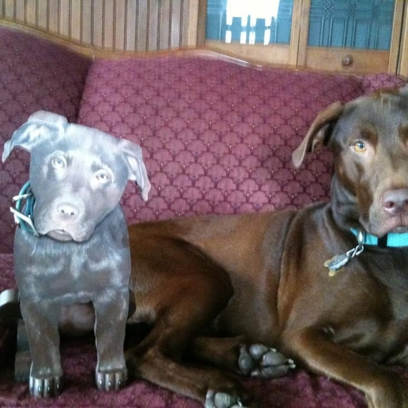 Meet your Posher, Victory Hill (Deb) - Picture 11 of 14